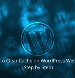 wordpress website cache clear