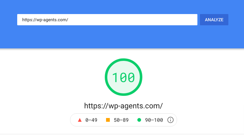 google page speed score 100/100